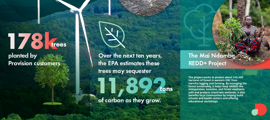 Trees Planted 2025 Provision